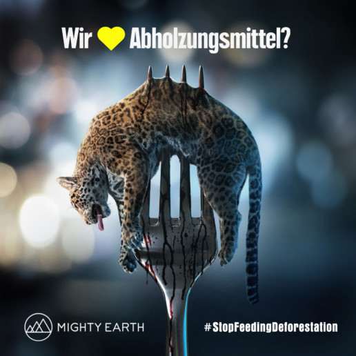 German- Umfrage: 89% der EDEKA-Kunden sind der Meinung, dass Supermärkte keine Geschäfte mit Abholzern machen sollten German- Umfrage: 89% der EDEKA-Kunden sind der Meinung, dass Supermärkte keine Geschäfte mit Abholzern machen sollten