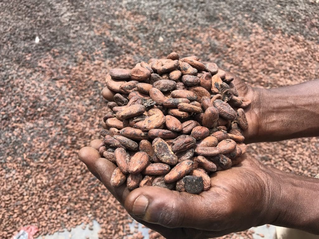 World s Major Chocolate Companies Make Landmark Call For EU To Regulate 