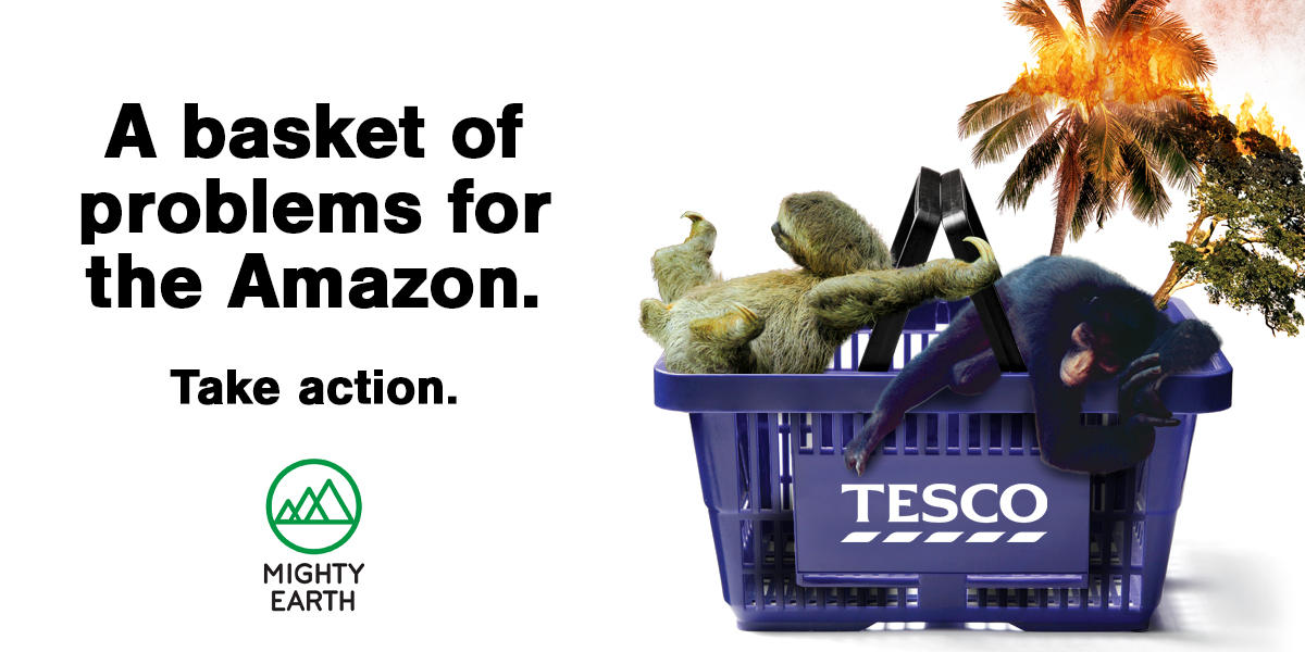 Tesco : a basket of problems for the Amazon
