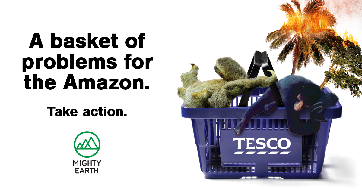 Tesco : a basket of problems for the Amazon