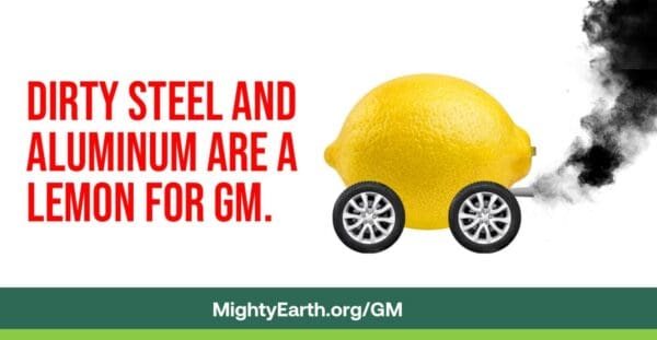 Mighty Earth calls on General Motors to cut carbon and human rights abuses in national campaign