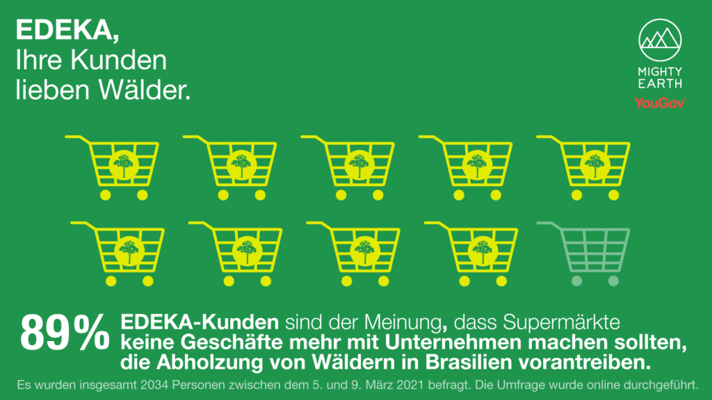 German- Umfrage: 89% der EDEKA-Kunden sind der Meinung, dass Supermärkte keine Geschäfte mit Abholzern machen sollten