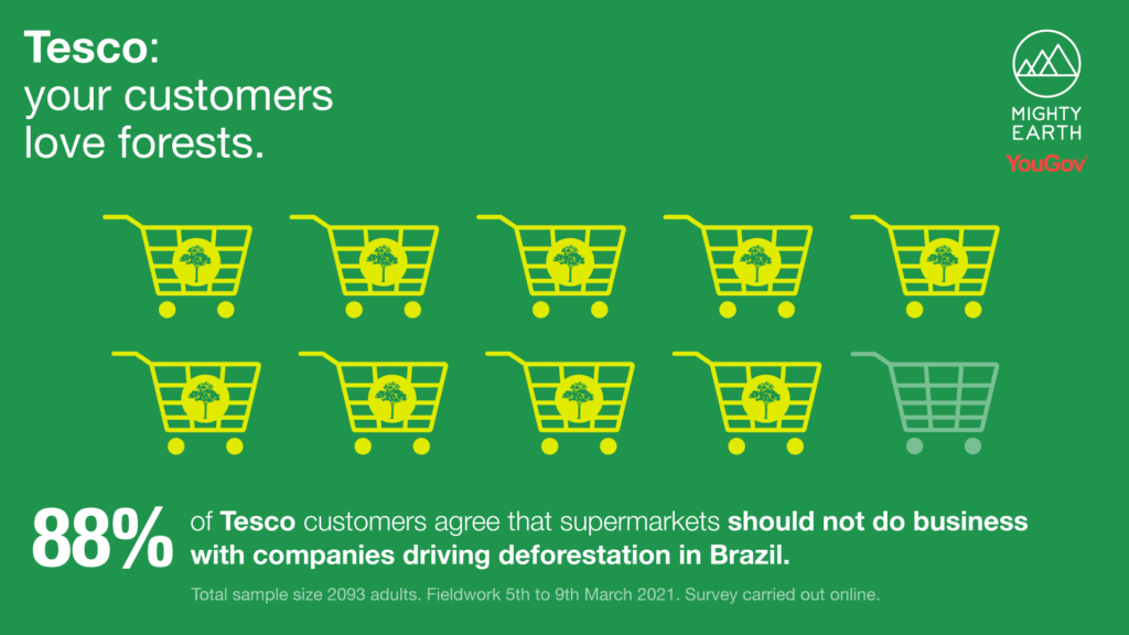 Poll: 88% of Tesco Customers Believe Supermarkets Shouldn’t Do Business with Deforesters