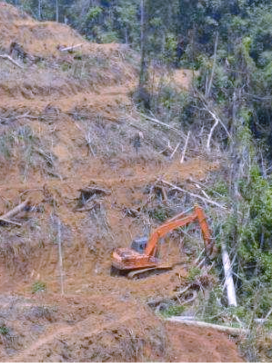 Excavator in action at RLU/LAJ concession on High Conservation Value (HCV) potential area on the edge of Bukit Tigapuluh National Park, Jambi in Sumatra, November 2014. Credit: TFT/Earthworm (2014)
