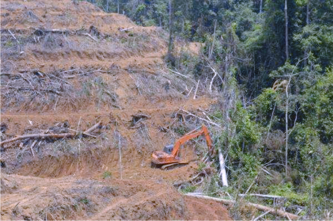 Excavator in action at RLU/LAJ concession on High Conservation Value (HCV) potential area on the edge of Bukit Tigapuluh National Park, Jambi in Sumatra, November 2014. Credit: TFT/Earthworm (2014)