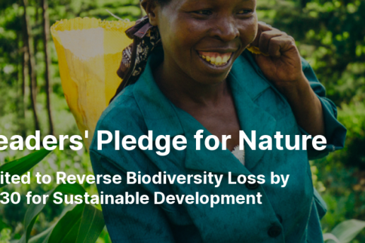 Leaders Pledge for Nature