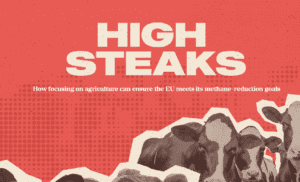 Image for High Steaks: How focusing on agriculture can ensure the EU meets its methane-reduction goals