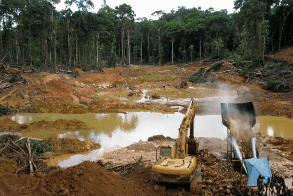 Image for Agribusiness plan to end deforestation: no targets, no accountability, more destruction