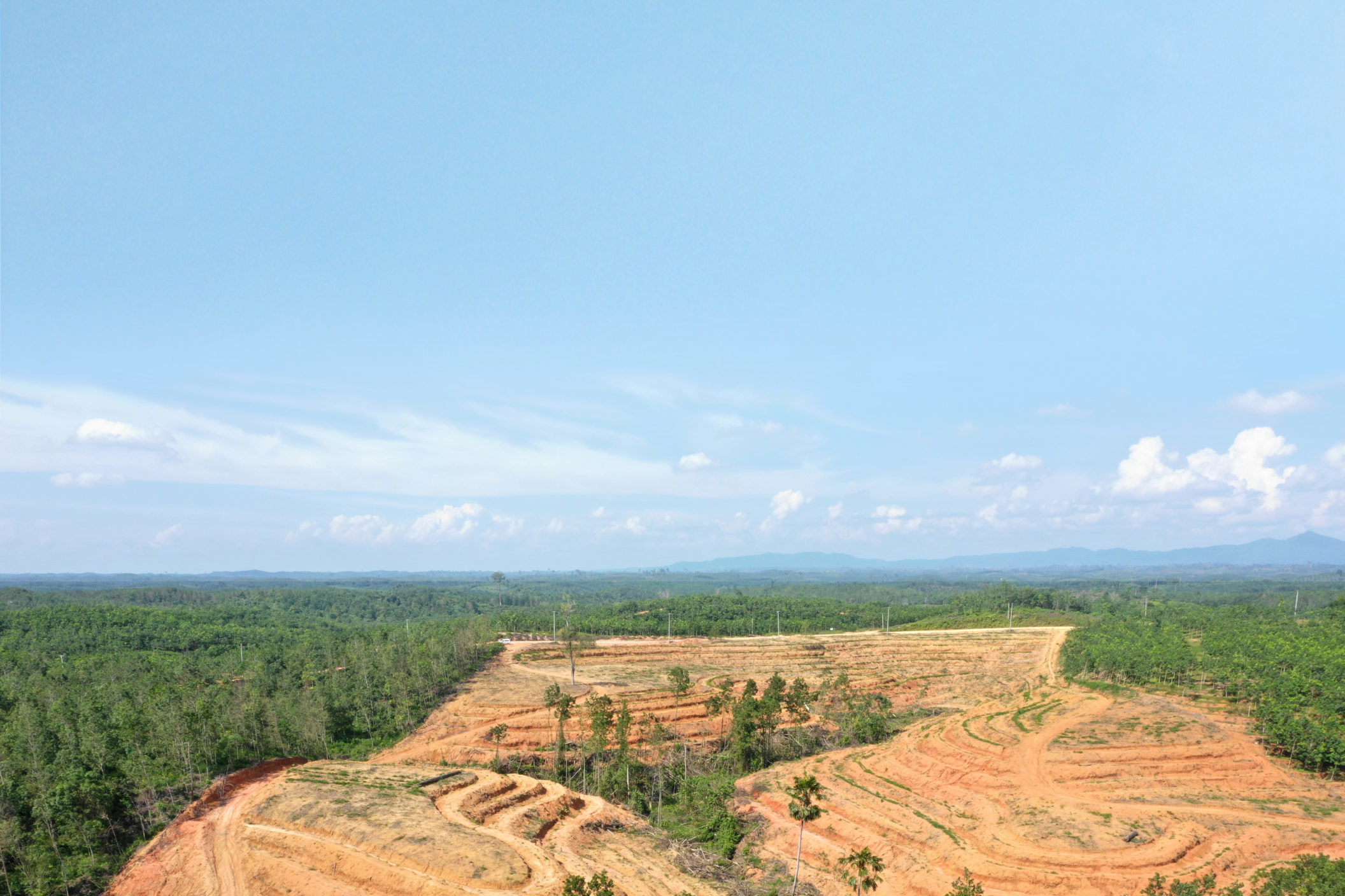 industrial deforestation at Michelin's RLU project in Jambi, Indonesia.