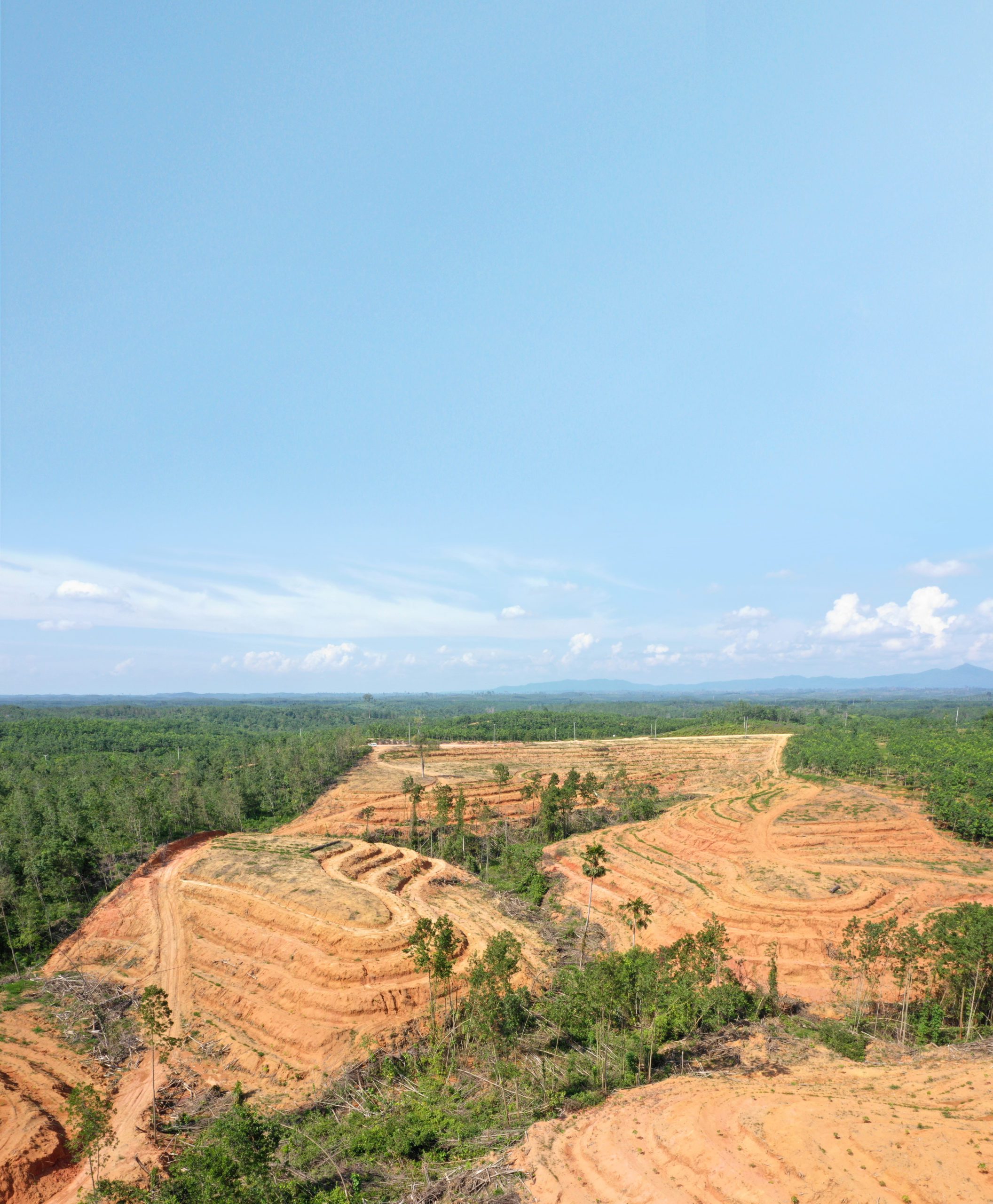 industrial deforestation at Michelin's RLU project in Jambi, Indonesia.